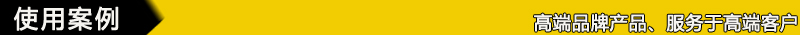 TSR型CODIPRO萬向旋轉(zhuǎn)吊環(huán)使用案例